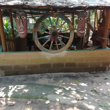 Sigiriya Freedom Lodge ダンブッラ エクステリア 写真