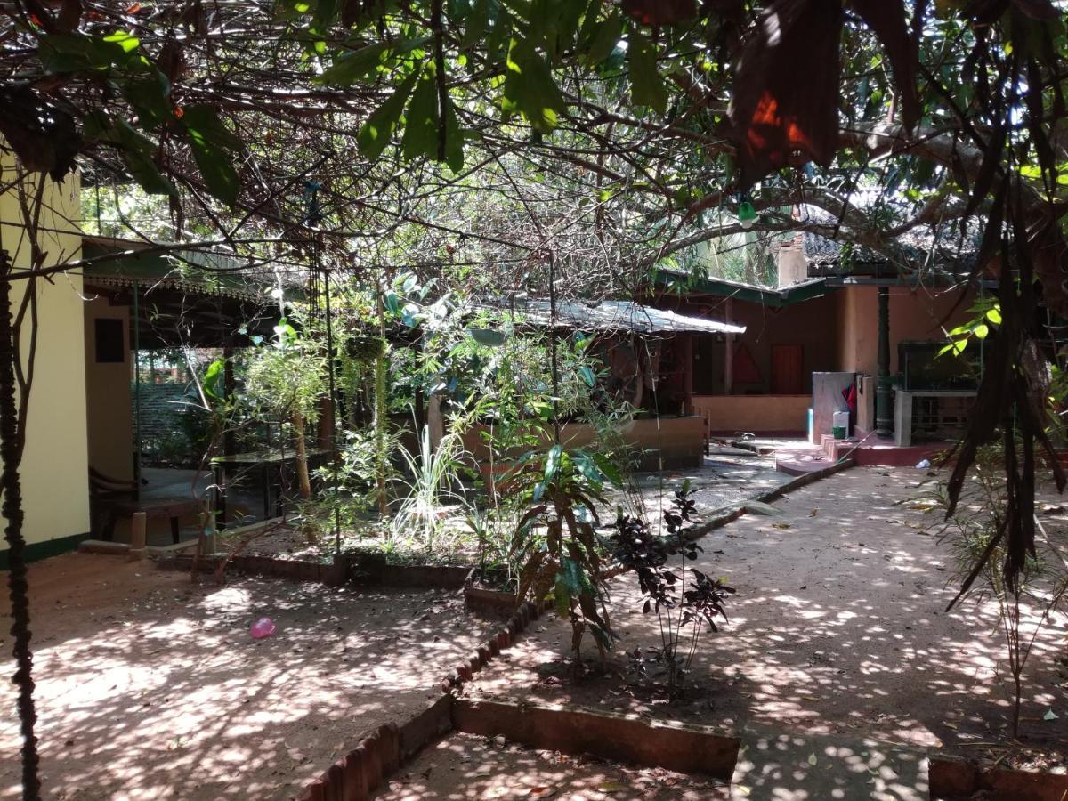 Sigiriya Freedom Lodge ダンブッラ エクステリア 写真