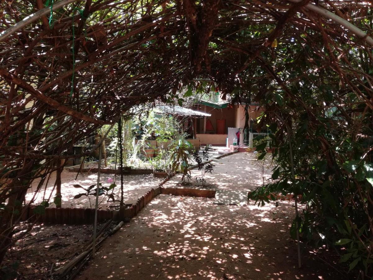 Sigiriya Freedom Lodge ダンブッラ エクステリア 写真