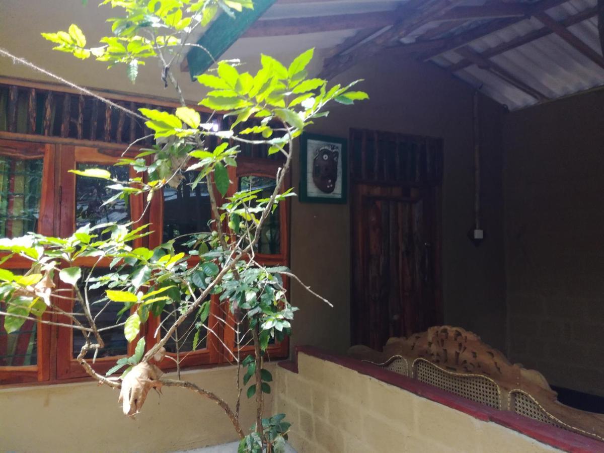Sigiriya Freedom Lodge ダンブッラ エクステリア 写真