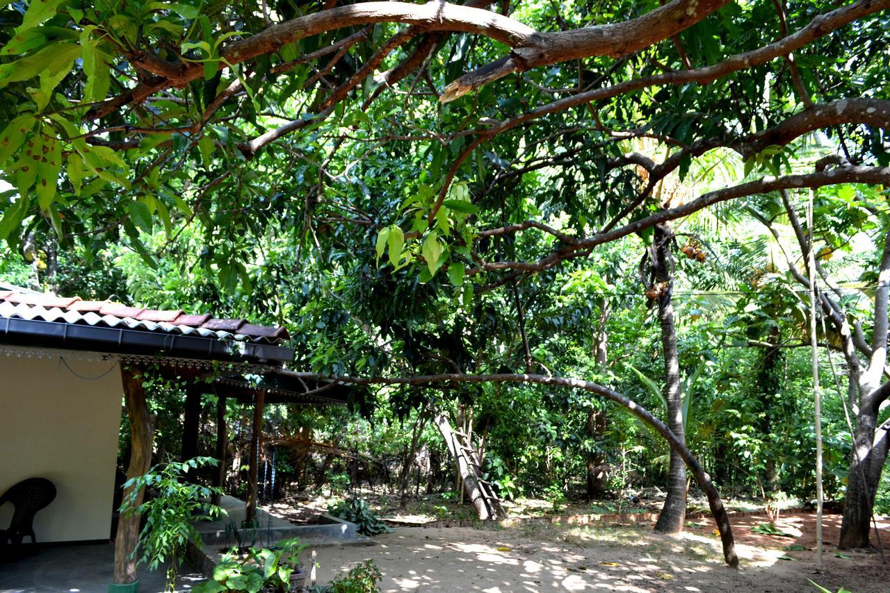 Sigiriya Freedom Lodge ダンブッラ エクステリア 写真