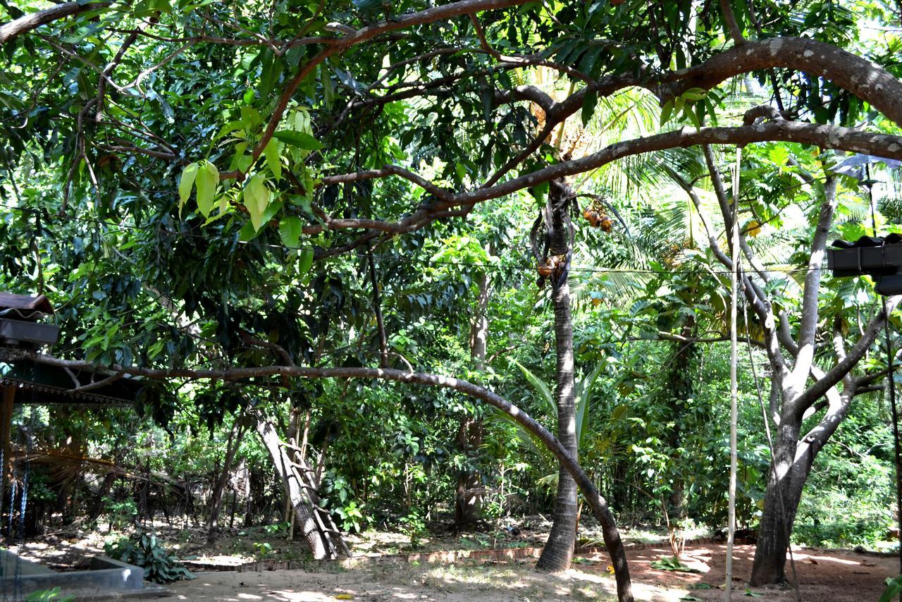 Sigiriya Freedom Lodge ダンブッラ エクステリア 写真