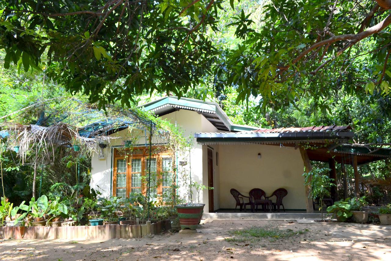 Sigiriya Freedom Lodge ダンブッラ エクステリア 写真