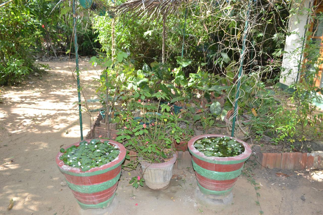 Sigiriya Freedom Lodge ダンブッラ エクステリア 写真
