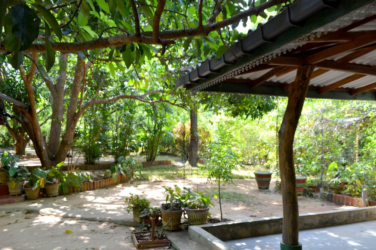 Sigiriya Freedom Lodge ダンブッラ エクステリア 写真