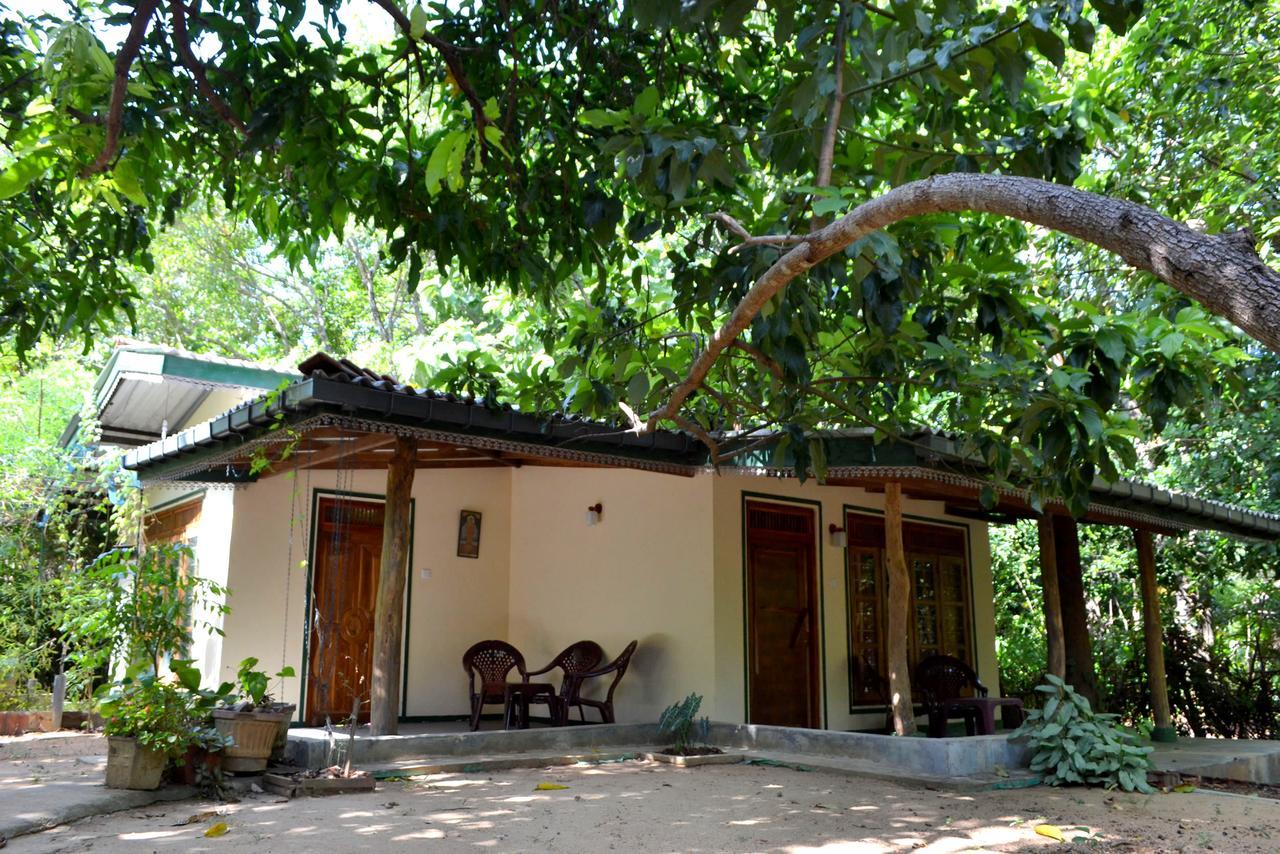 Sigiriya Freedom Lodge ダンブッラ エクステリア 写真