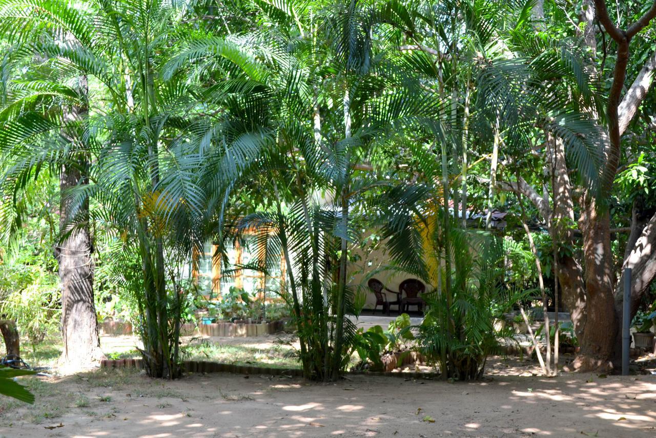 Sigiriya Freedom Lodge ダンブッラ エクステリア 写真