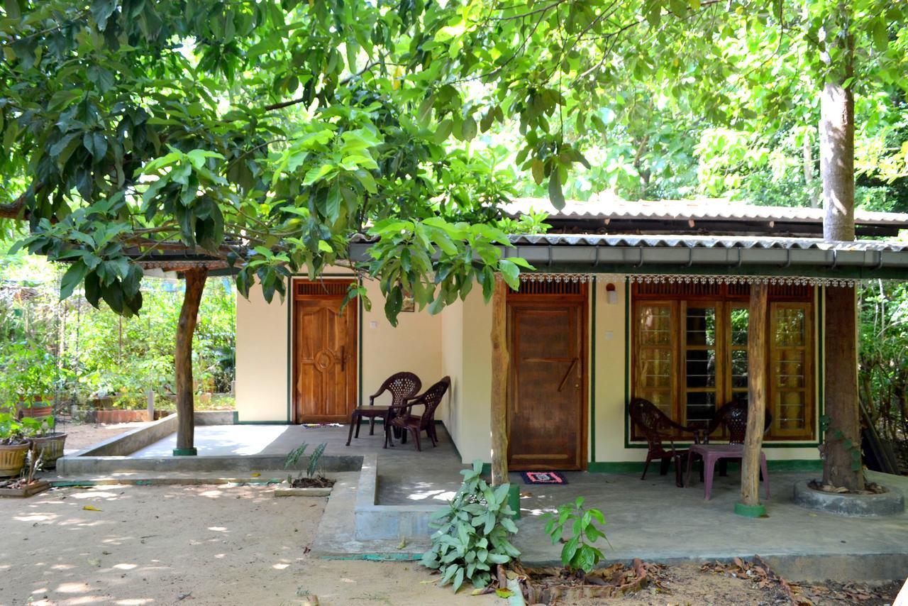 Sigiriya Freedom Lodge ダンブッラ エクステリア 写真